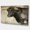 Designart - Spanish Bull Sketch - Animal Art On Canvas